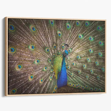 ANIMAL ART PEACOCK