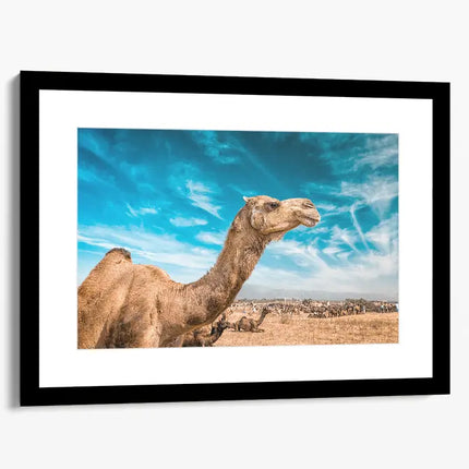 ANIMAL ART CAMEL