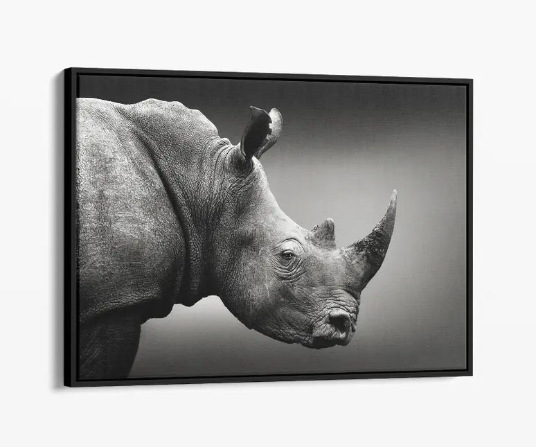 ANIMAL ART RHINOCEROS