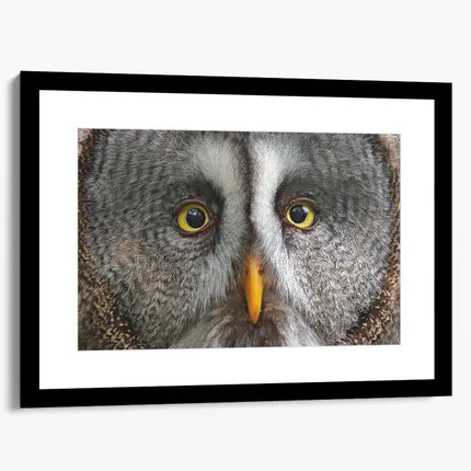 ANIMAL ART OWL