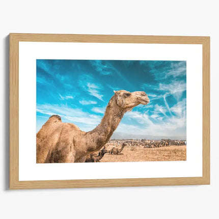 ANIMAL ART CAMEL