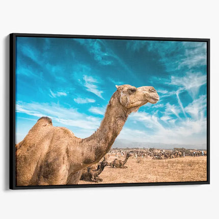 ANIMAL ART CAMEL