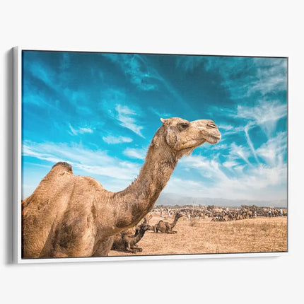 ANIMAL ART CAMEL