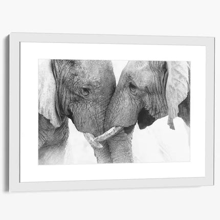 ANIMAL ART ELEPHANTS