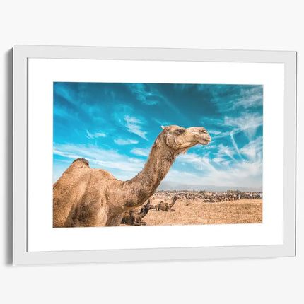 ANIMAL ART CAMEL