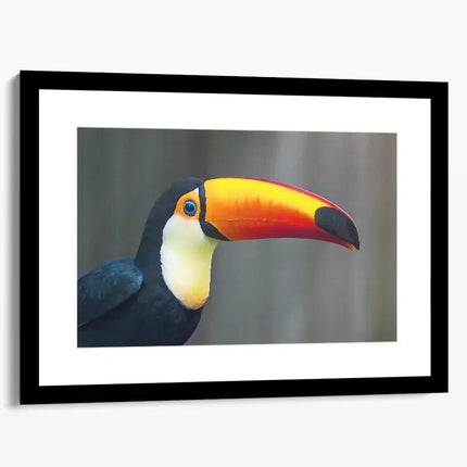 ANIMAL ART TOUCAN