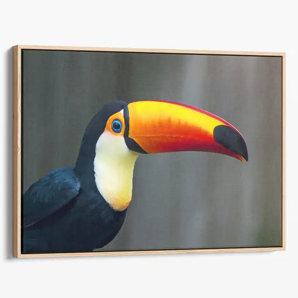 ANIMAL ART TOUCAN