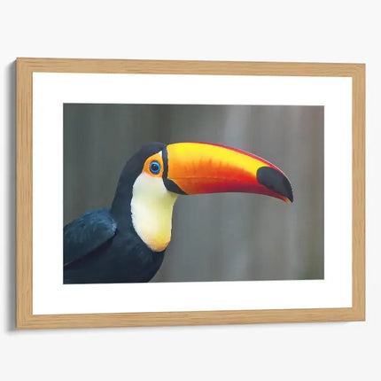 ANIMAL ART TOUCAN