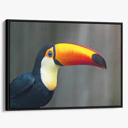 ANIMAL ART TOUCAN