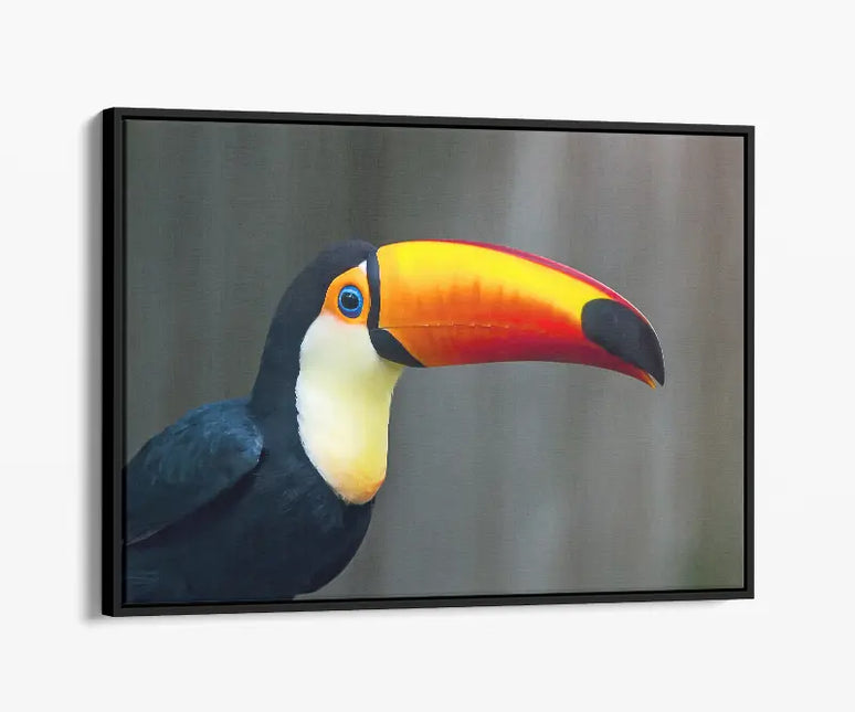 ANIMAL ART TOUCAN