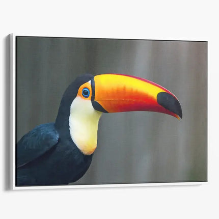 ANIMAL ART TOUCAN