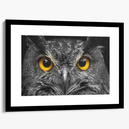 ANIMAL ART OWL