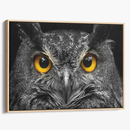 ANIMAL ART OWL