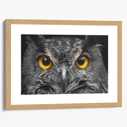 ANIMAL ART OWL