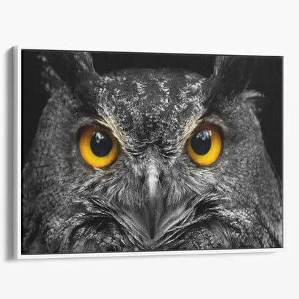 ANIMAL ART OWL