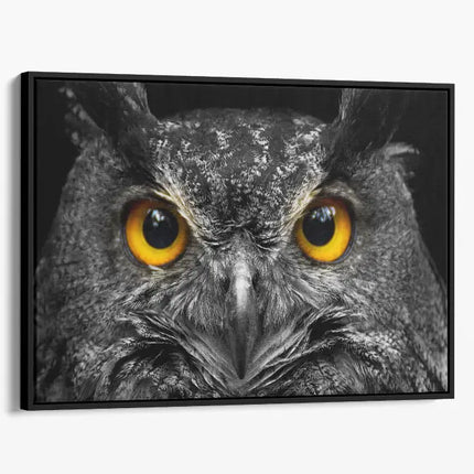 ANIMAL ART OWL