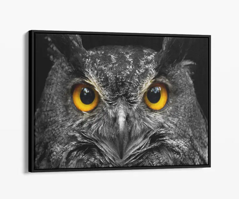 ANIMAL ART OWL