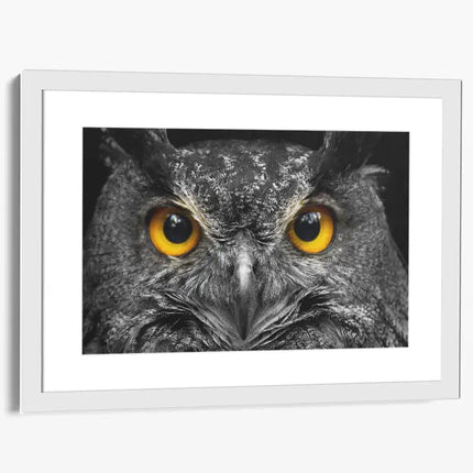 ANIMAL ART OWL