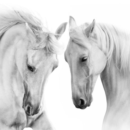 ANIMAL ART HORSES