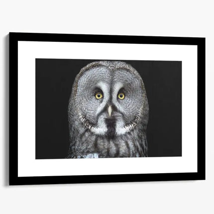 ANIMAL ART OWL