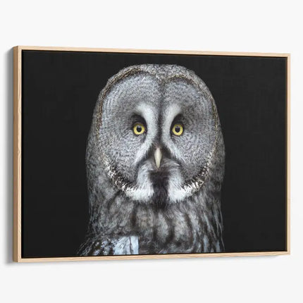 ANIMAL ART OWL