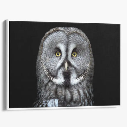 ANIMAL ART OWL