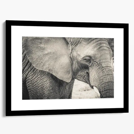 ANIMAL ART ELEPHANT