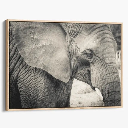 ANIMAL ART ELEPHANT