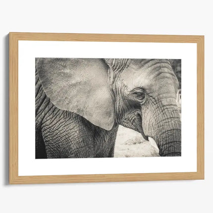 ANIMAL ART ELEPHANT