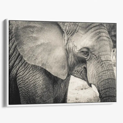 ANIMAL ART ELEPHANT