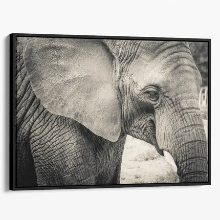 ANIMAL ART ELEPHANT