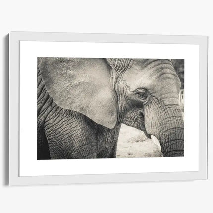 ANIMAL ART ELEPHANT