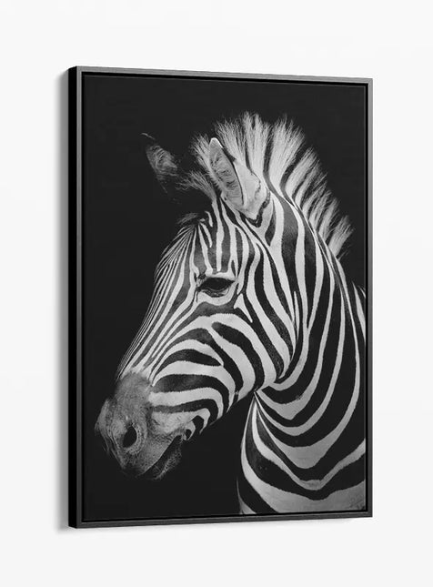 ANIMAL ART ZEBRA