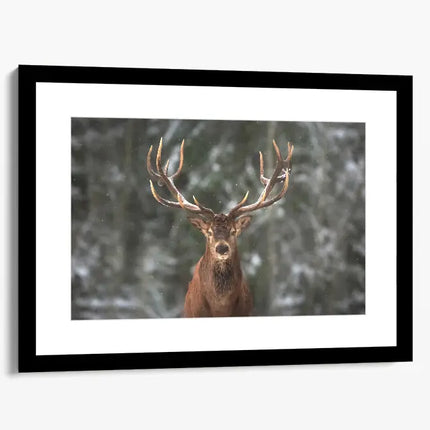 ANIMAL ART STAG