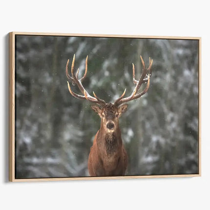 ANIMAL ART STAG