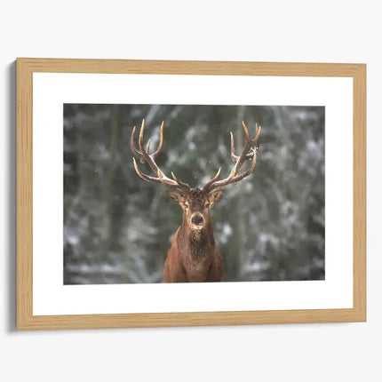 ANIMAL ART STAG