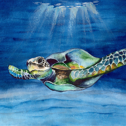 ANIMAL ART TURTLE