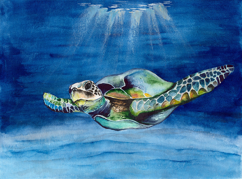 ANIMAL ART TURTLE