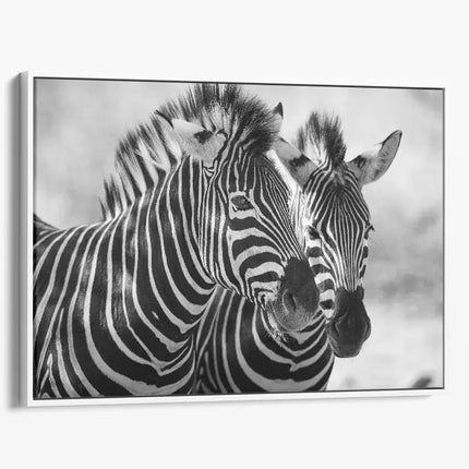 ANIMAL ART ZEBRA