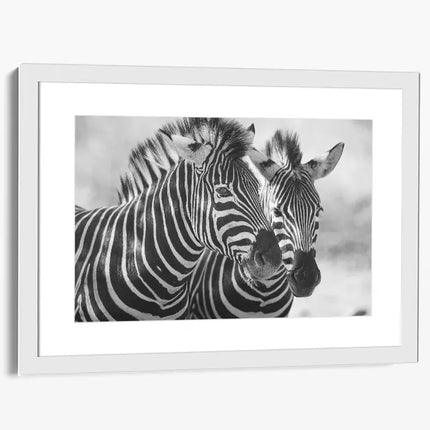 ANIMAL ART ZEBRA