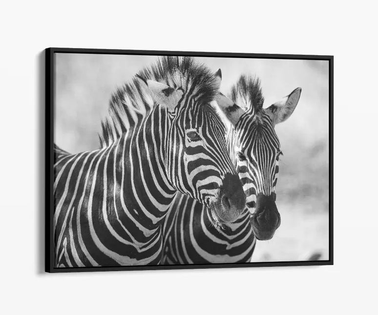 ANIMAL ART ZEBRA