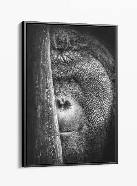 ANIMAL ART ORANGUTAN