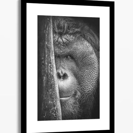 ANIMAL ART ORANGUTAN