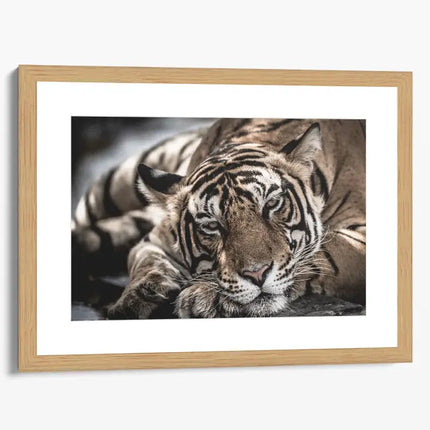 ANIMAL ART TIGER