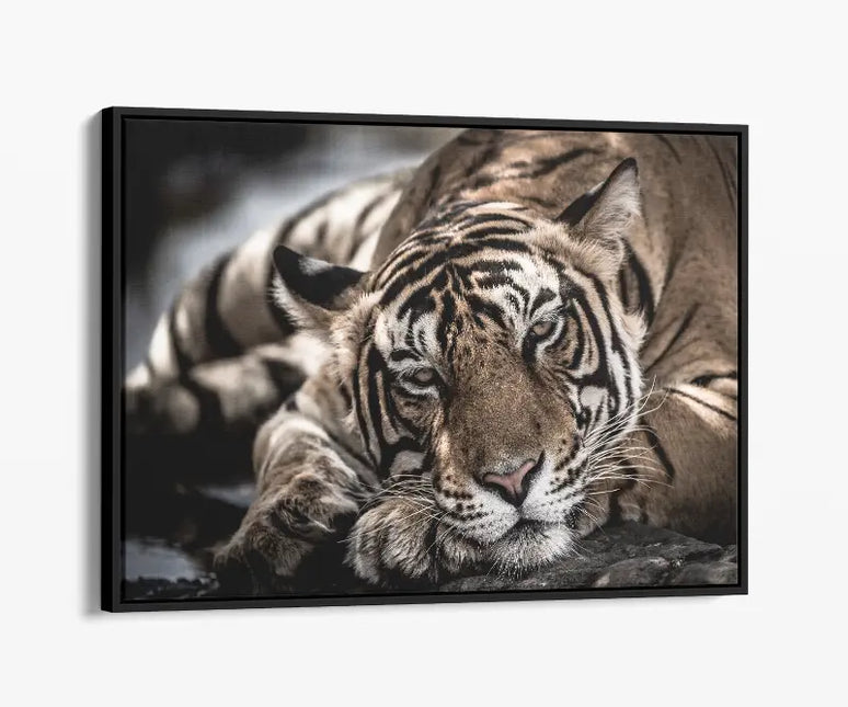 ANIMAL ART TIGER