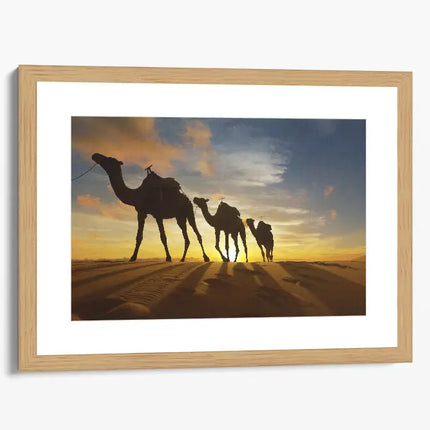 ANIMAL ART CAMELS