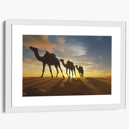 ANIMAL ART CAMELS