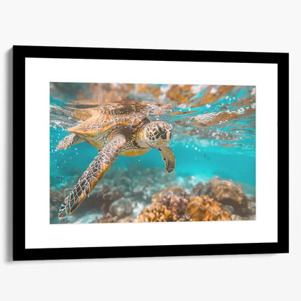 ANIMAL ART TURTLE