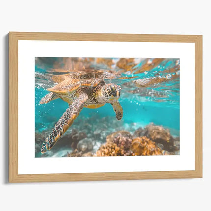 ANIMAL ART TURTLE