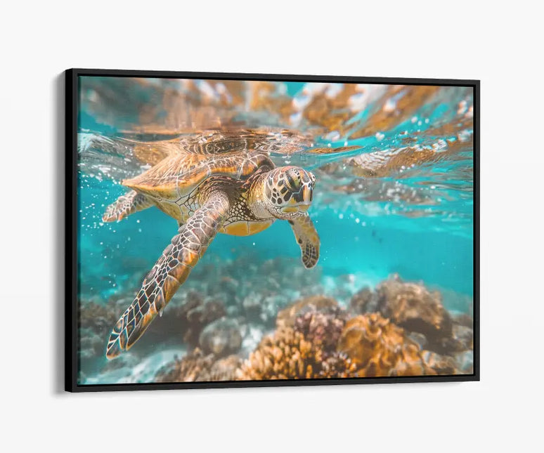 ANIMAL ART TURTLE